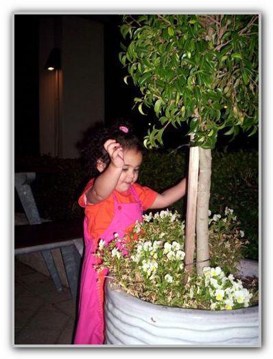 Ebony Inglewood Hotel 2006 3